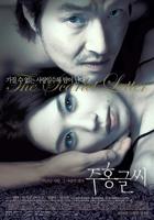 韩剧《红字2004》电影完整版免费观看高清播放